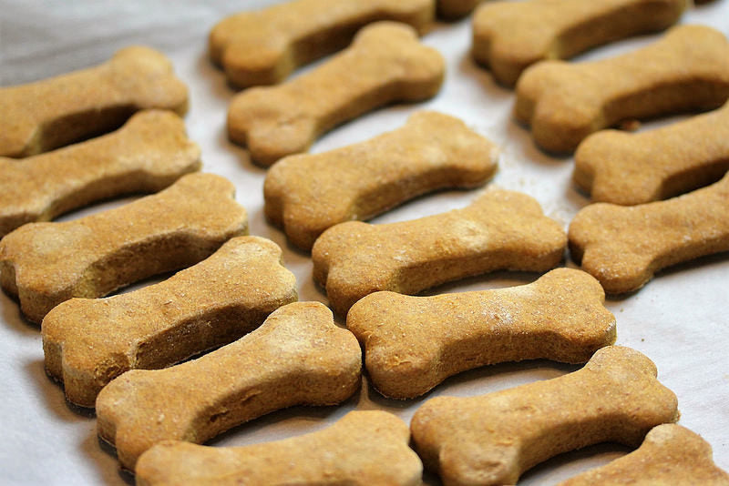 Peanut butter dog treats without outlet pumpkin