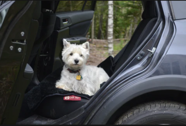 Car Pet D Pet Seat Cover Black