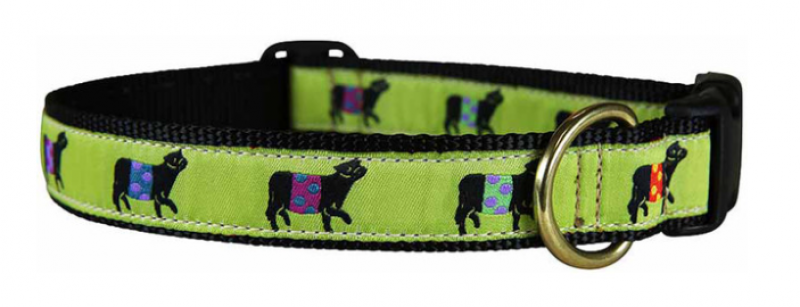 Belted Cow D Collar Beltie Lime L 1"