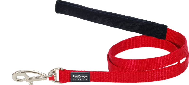 Red Dingo Leash Red Large 25mm 6ft