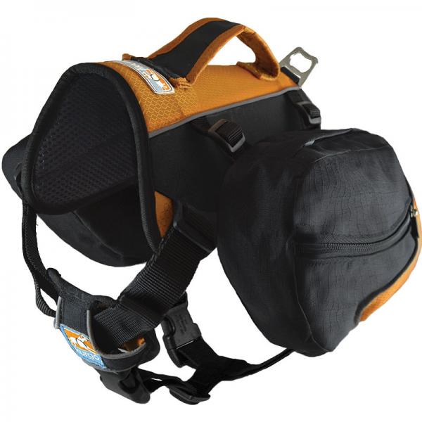 Kurgo Baxter Backpack