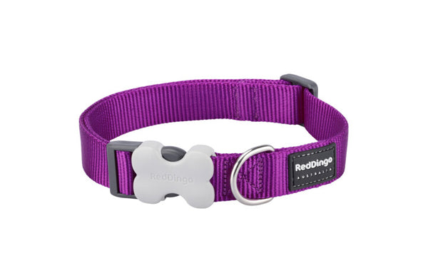 Red Dingo Collar Purple Small 15mm