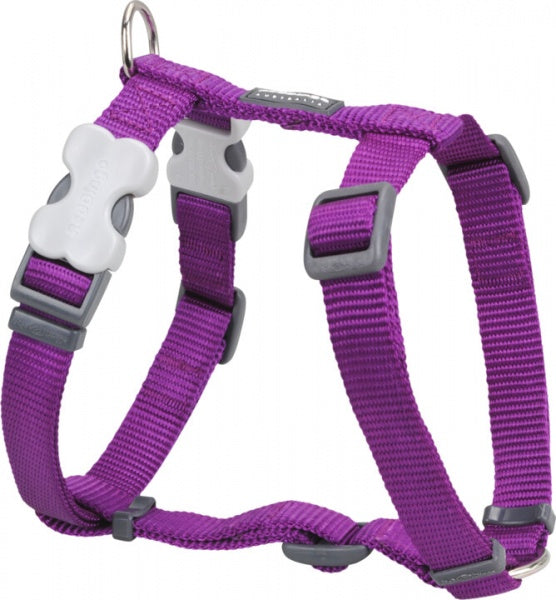 Red Dingo Harness Purple Medium 20mm