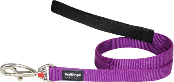 Red Dingo Leash Purple Medium 20mm 6ft