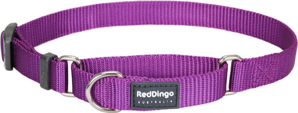 Red Dingo Martingale Purple Medium 20 mm