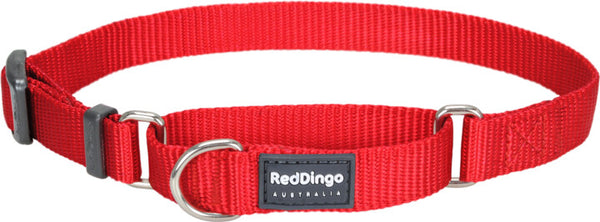 Red Dingo Martingale Red Medium 20mm