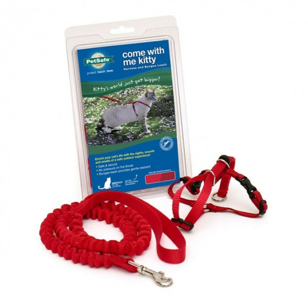 Come With Me Kitty Harness Red Medium