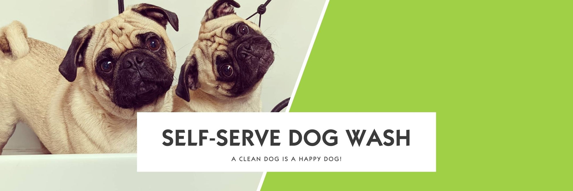 Happy dog wash near me best sale