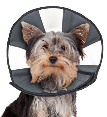 ZenPet D Zen Cone Recovery Collar S